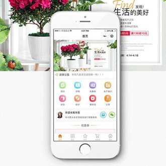 广陵门店微商城小程序开发