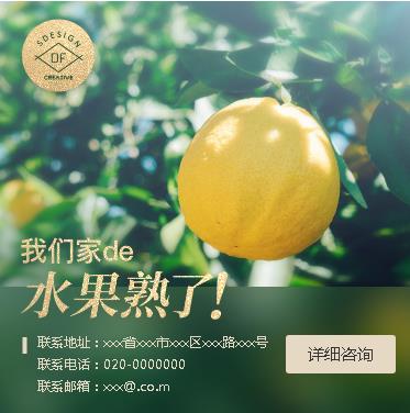 广陵果园果林小程序开发